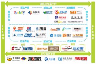 2016年中國B2B電子商務行業研究報告